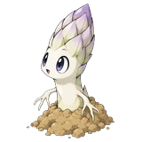 Aspergetje
