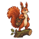 Eekhoorn
