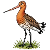 Grutto