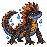 Kamsalamander