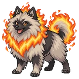 Keeshond