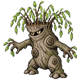 Knotwilg