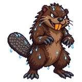 Muskusrat