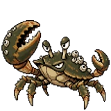 Strandkrab